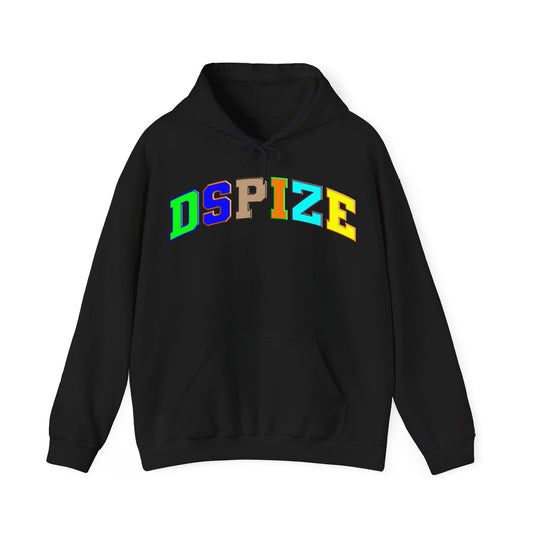 DCL Dspize Team Logo Multi 2.0 Hood