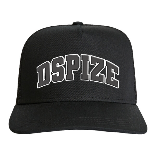 DCL Dspize Team Logo Grey/Black Cap